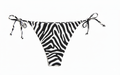 Sagia Bikini Bottoms - Zebra